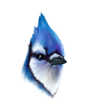 Toronto Blue Jay